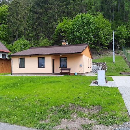 Lisny 105 Cely Novy Dum Se Zahradou U Jizery A Cyklo-Stezky New House By Jizera River And Bicycle Path Zelezny Brod ภายนอก รูปภาพ
